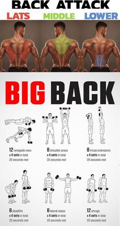 the back and shoulder exercises for men are shown in this poster, with instructions on how to