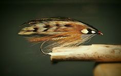 a brown and black fly sitting on top of a wooden stick