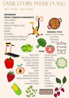 Menstrual Phase Foods Vegan, Ovulatory Phase, Healthy Period, Magnesium Rich Foods, Hormonal Health, Cycle Syncing, Grass Fed Meat