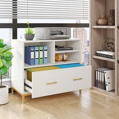 a white cabinet with files and books on it in front of a window, next to a potted plant