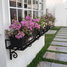 some flowers that are sitting in a window box