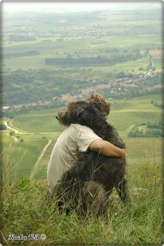 a person sitting on top of a hill hugging a dog