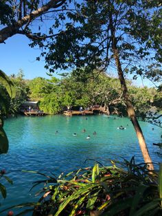 people are swimming in the blue water near some trees and bushes on a sunny day