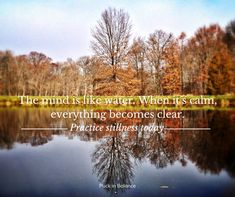 the mind is like water when it's calm, everything becomes clear practice stillness today