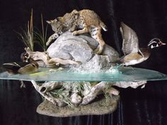 a cat on top of a rock with birds and water in the pond next to it