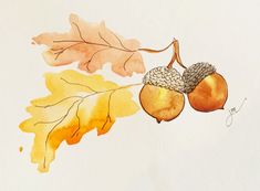 two acorns hanging from a tree branch with leaves