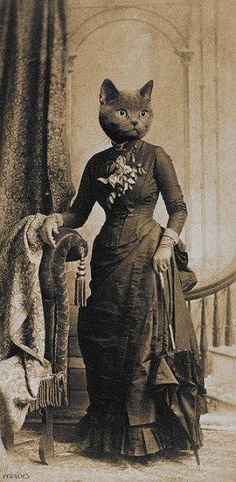 an old photo of a woman with a cat on her head, standing next to a chair