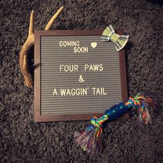 a sign that says four paws and a waggin tail on the ground next to some antlers