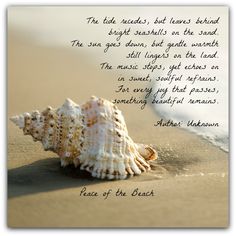 a seashell on the beach with a poem written in it's left side