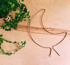 the plant is growing on the wooden table