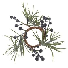 an arrangement of branches and berries on a white background