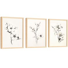 three black and white flowers are hanging on the wall in front of two framed pictures