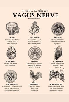 Self Care Rituals, Nervus Vagus, The Vagus Nerve, Nerve Health, Gut Brain, Parasympathetic Nervous System, Energy Healing Spirituality, Vagus Nerve, Vie Motivation