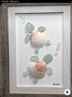 two seashells with sea glass in a frame