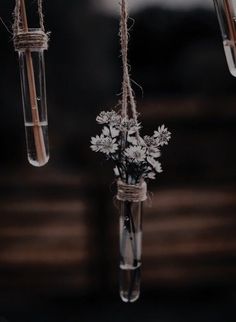 some flowers are in a glass vase hanging from strings