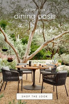 an outdoor dining table and chairs with the text get the look dining oasis shop the look