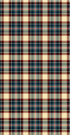 a plaid pattern with red, white and blue colors