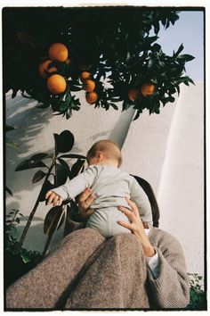 a man holding a baby up to an orange tree in front of him with his arm around the child's head