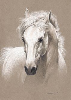 a drawing of a white horse with blonde hair on it's head and neck