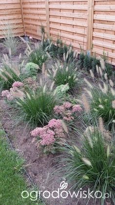 some purple flowers and green grass by a wooden fence on the side of a building