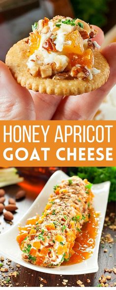 honey apricot goat cheese appetizer in the palm of someones hand