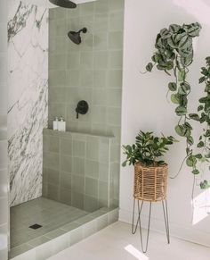 there is a plant in the corner of this bathroom with green tiles on the walls