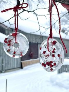 two glass ornaments hanging from a tree in the snow with red berries attached to them