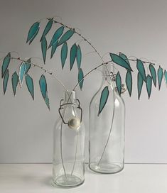 two glass vases with plants in them on a table