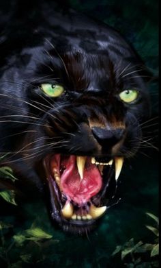 a close up of a black cat with its mouth open and green eyes on it's face