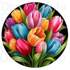 a bouquet of colorful tulips on a black background