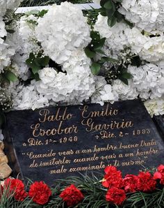 the memorial is surrounded by white and red flowers