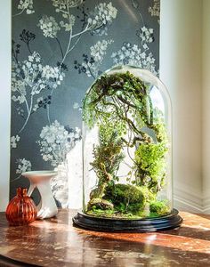 a glass dome with moss growing inside on a table in front of a floral wallpaper