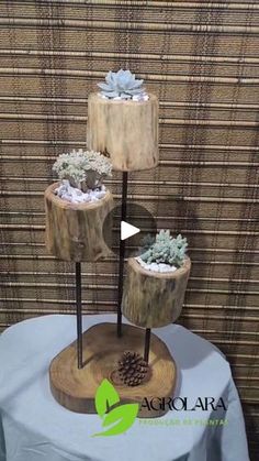 three tiered wooden stand with succulents on it