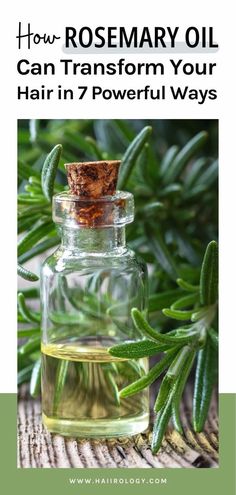 Rosemary oil is a game-changer for your hair! In this post, I share 7 incredible benefits of rosemary oil that can transform your hair care routine. From stimulating hair growth and reducing hair loss to improving scalp health and adding shine, rosemary oil has it all. Learn how to incorporate it into your routine, and even how to make your own rosemary oil at home. Ready for stronger, healthier hair? Visit the blog now to discover the magic of rosemary oil and how it can work wonders for you! Rosemary Oil Benefits, Benefits Of Rosemary Oil, Benefits Of Rosemary, Stimulating Hair Growth, Rosemary Hair Growth