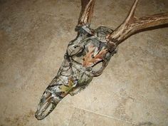 a deer's head with antlers on it laying on the floor next to a tile floor