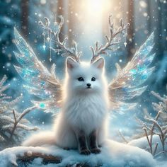 a white cat sitting on top of snow covered ground