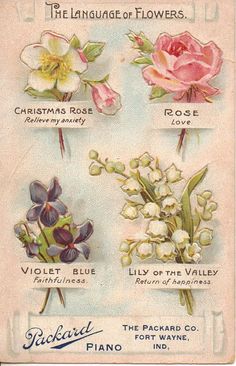 an old postcard with flowers and names on it's front cover, from the late 19th to early 20th century