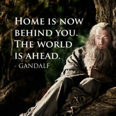 an image of gandalf from the hobb movie with quote about how to use it