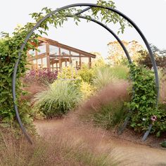 an arch in the middle of a garden with lots of plants and flowers around it