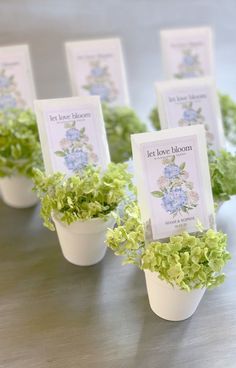 small potted plants with place cards on them