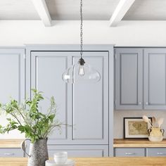 a kitchen with gray cabinets and wooden counter tops, an island in the middle has a potted plant on it