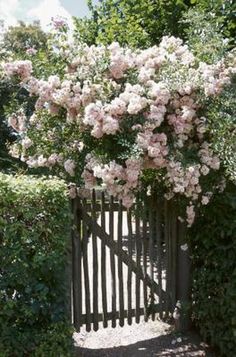 an iron gate with pink flowers on it in the middle of a hedged area