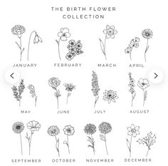 the birth flower collection is shown in black and white