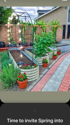 an outdoor garden area with plants and lights