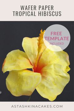 a yellow flower with text overlay that says wafer paper tropical hibiscus