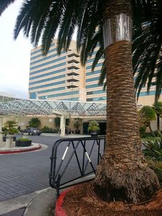 a palm tree in front of a large building with a bridge over the street behind it