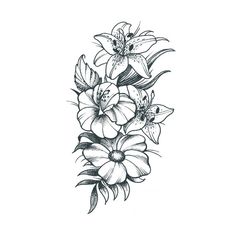 a black and white drawing of flowers