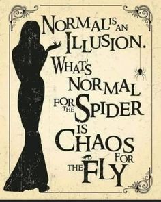 a poster with the words normal is an illusion, what's normal for the spider who