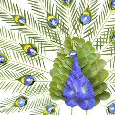 a blue and yellow peacock surrounded by green leaves on a white background with palm fronds