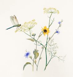 a painting of flowers and a dragonfly on a white background